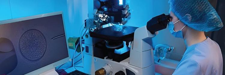 Fellowship in Clinical Embryology