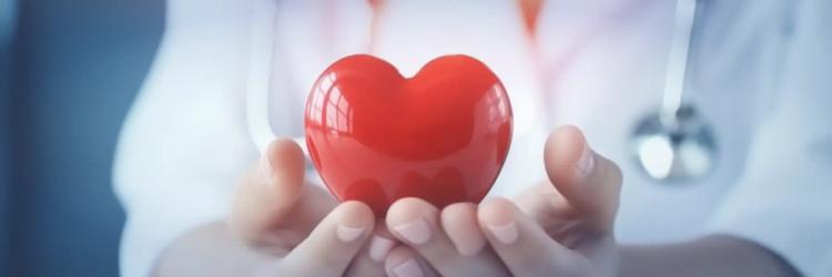 International Post Graduate Program in Cardiology