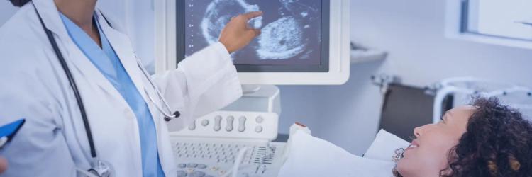 Program in Gynaecology-Obstetrics Radiology