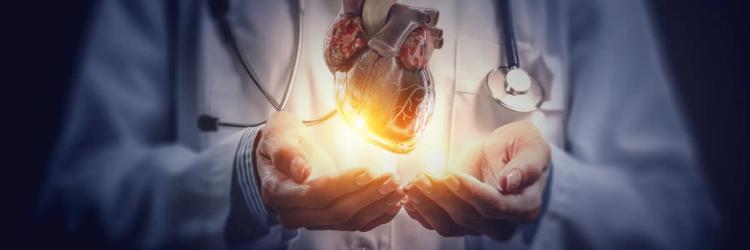 Postgraduate Diploma in Cardiology