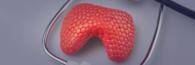 Postgraduate Diploma in Endocrinology