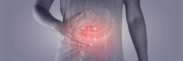 Postgraduate Diploma in Gastroenterology (USW)