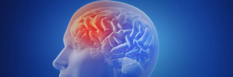 Postgraduate Diploma in Neurology