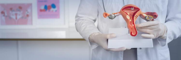 Post Graduate Program in Gynaecology