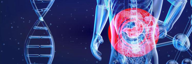 Certification Course in Anatomy : Abdomen and Pelvis