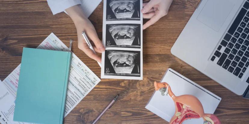 Post Graduate Program in Assisted Reproduction Techniques