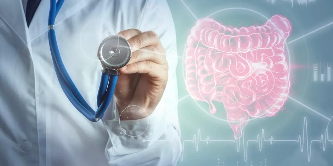 Program in Gastro-Intestinal Radiology