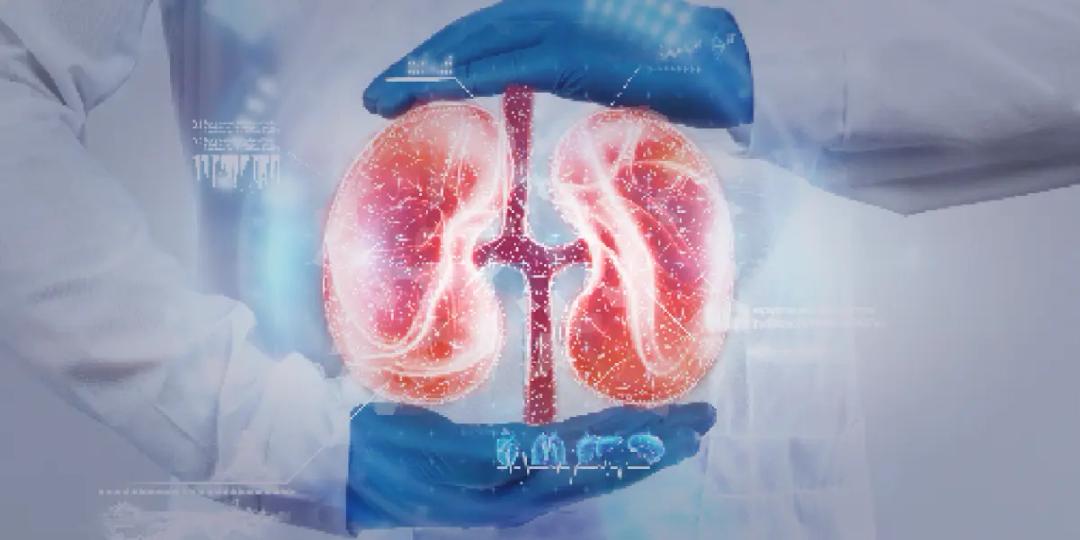 Postgraduate Diploma in Urology