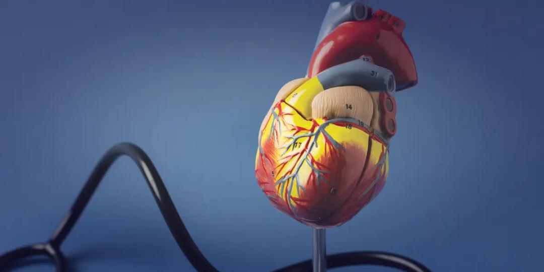 Postgraduate Diploma in Preventative Cardiovascular Medicine