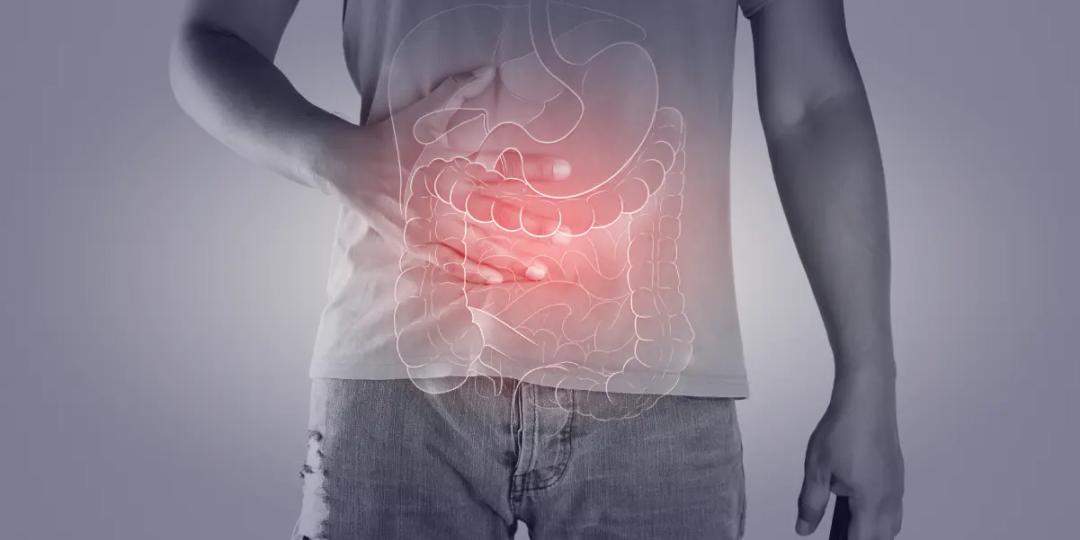 Postgraduate Diploma in Gastroenterology (USW)