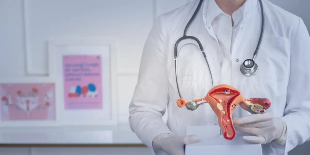 Post Graduate Program in Gynaecology