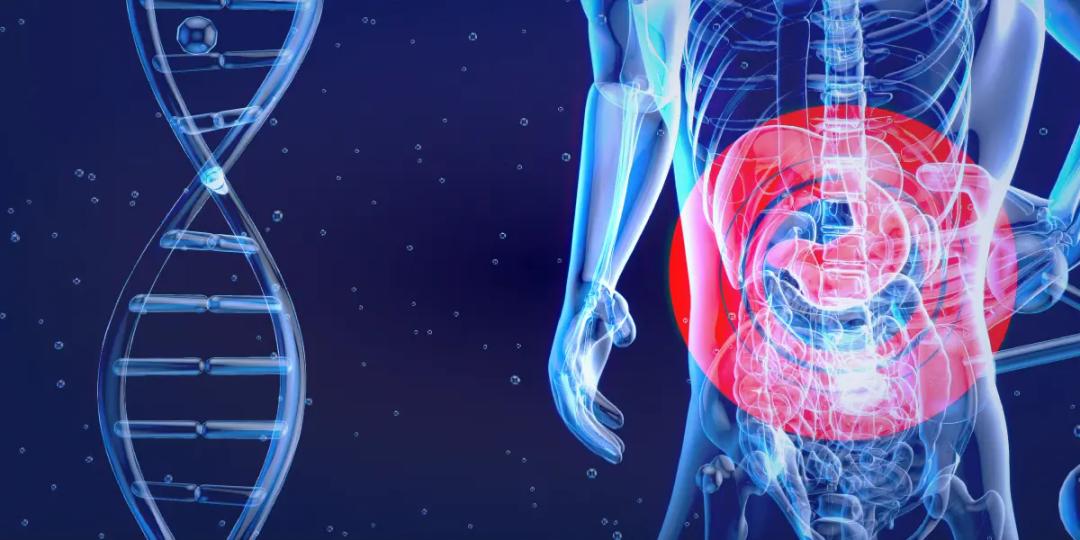 Certification Course in Anatomy : Abdomen and Pelvis