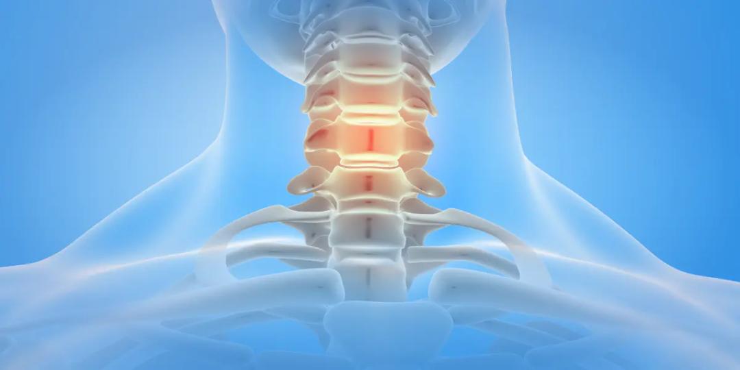 Certification Course in Anatomy : Head and Spine