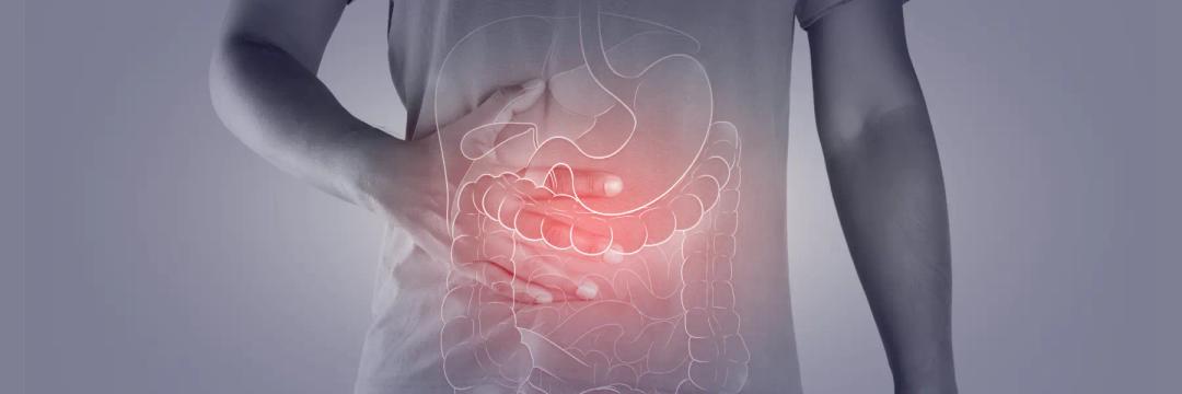 MSc in Gastroenterology (USW)