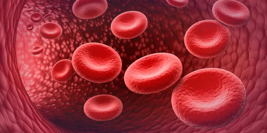 Certification Course In Hematology