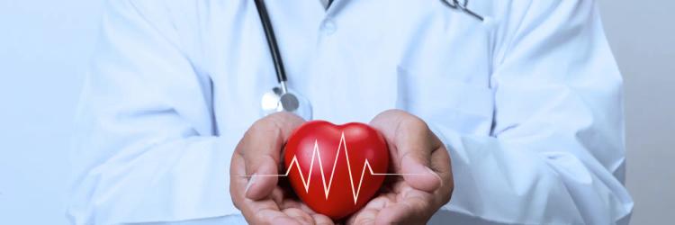 Master Specialization In Cardiology