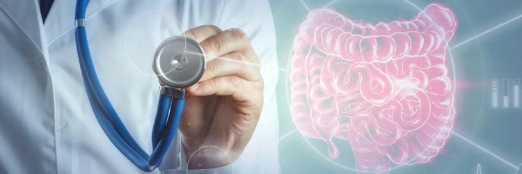 Certification Course in Gastro-Intestinal Radiology
