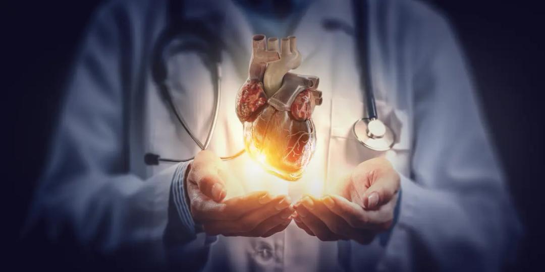 MSc in Cardiology