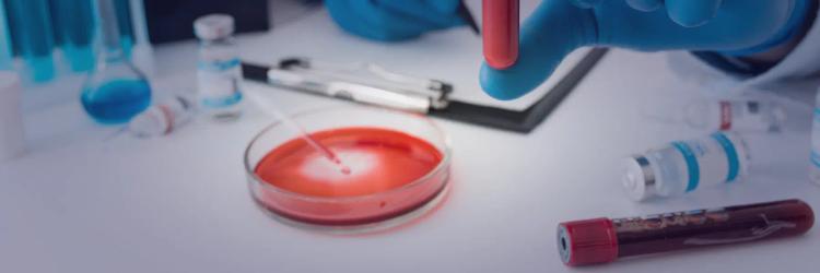 MSc in Haematology