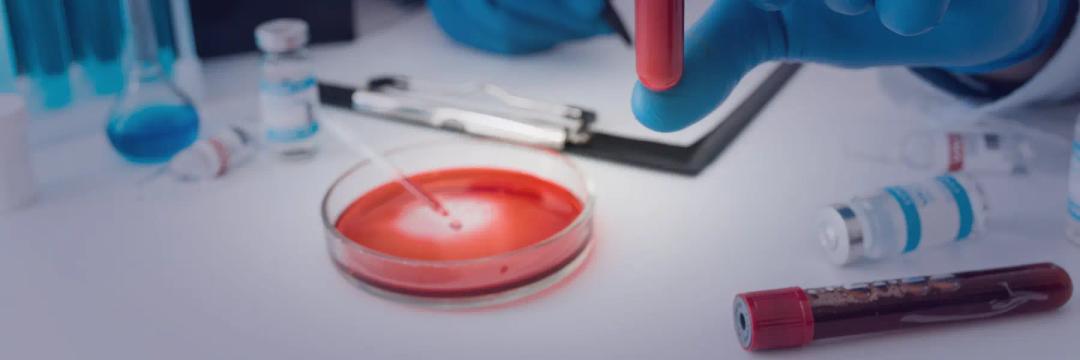 MSc in Haematology