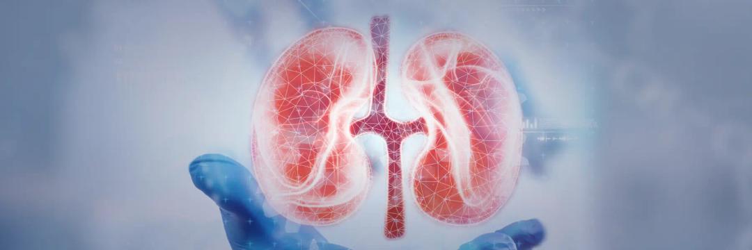 MSc in Urology