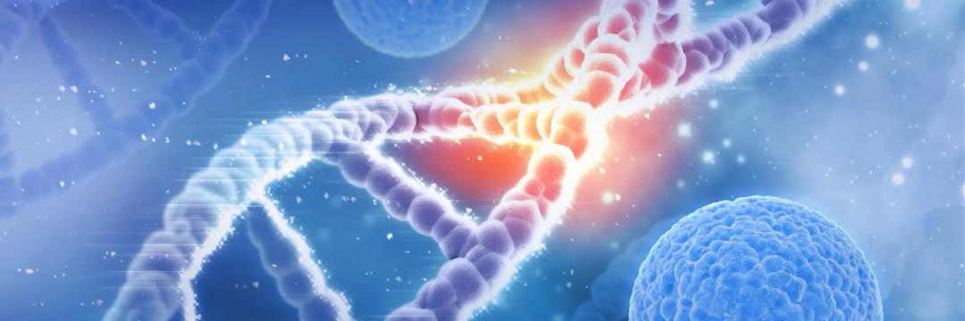 Postgraduate Diploma in Cancer and Molecular and Cellular Biology