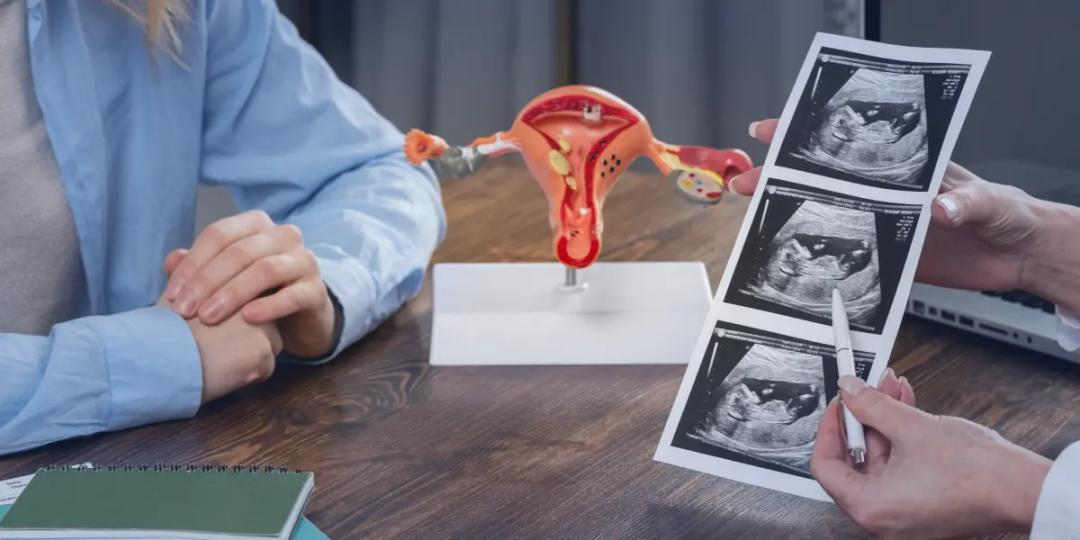 Post Graduate Program in Urogynaecology