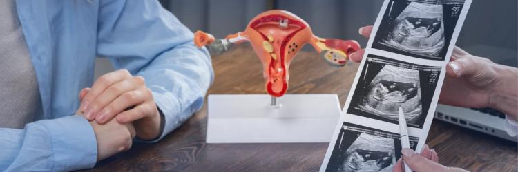 Post Graduate Program in Urogynaecology