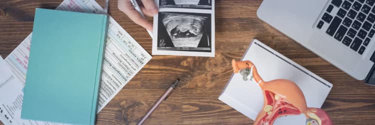 Advanced Clinical Practice Program in Assisted Reproduction Techniques