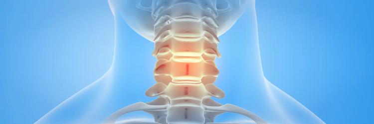 Certification Course in Anatomy : Head and Spine