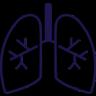 Pulmonology-28