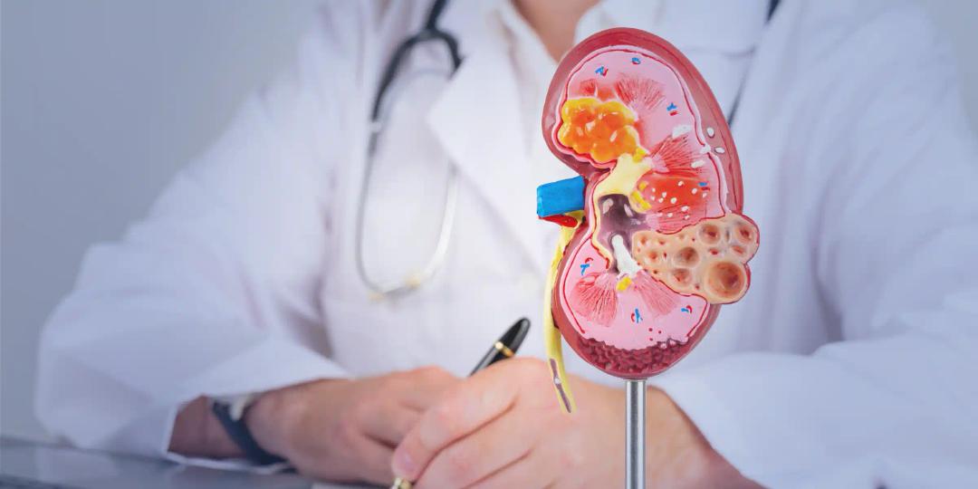 Postgraduate Certificate in Urology