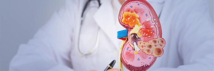 Postgraduate Certificate in Urology
