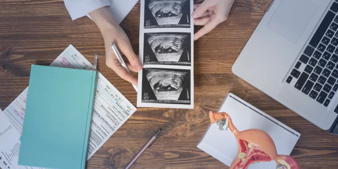 Advanced Clinical Practice Program in Assisted Reproduction Techniques