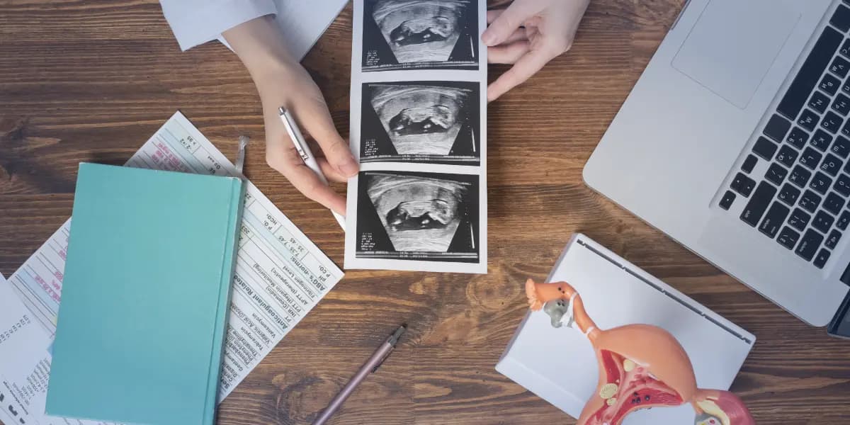 Advanced Clinical Practice Program in Assisted Reproduction Techniques