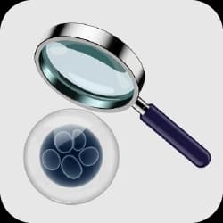 Foundational Infertility Evaluation
