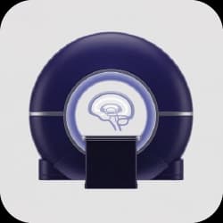 Foundational Neuroimaging
