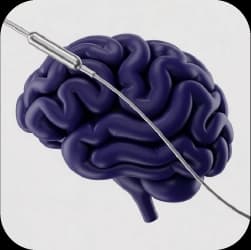 Advanced Interventional & Clinical Training