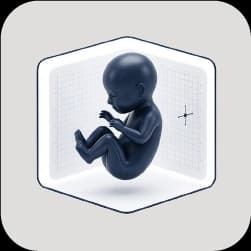 Build Fetal Anatomy and Structural Assessment Skills
