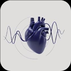 Develop Fetal Cardiac and Doppler Interpretation Skills