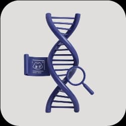 Master First Trimester Screening and Genetics