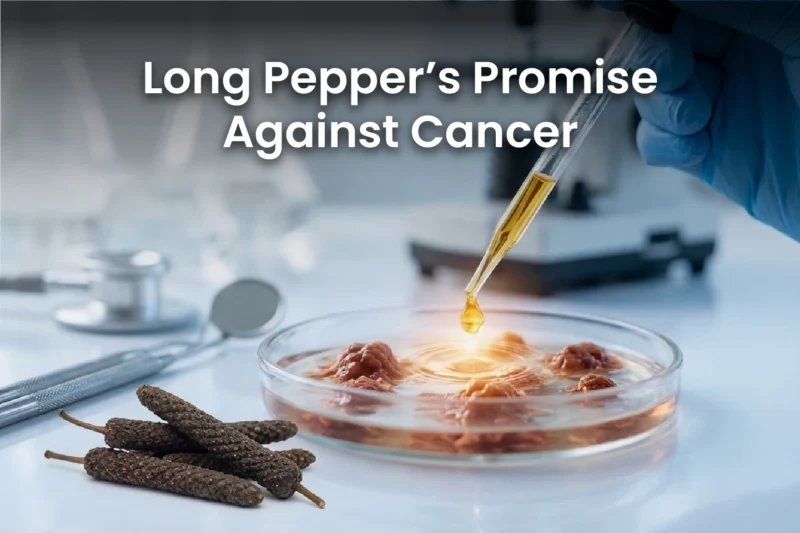 Long Pepper’s Promise: Piperlongumine Fights Colon Cancer